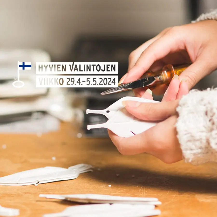 Sinä valitset hyvää Suomeen